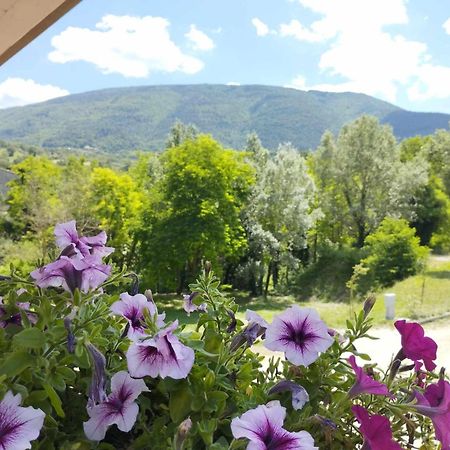 Pianpieve Nature & Relax Apartments Assisi Luaran gambar