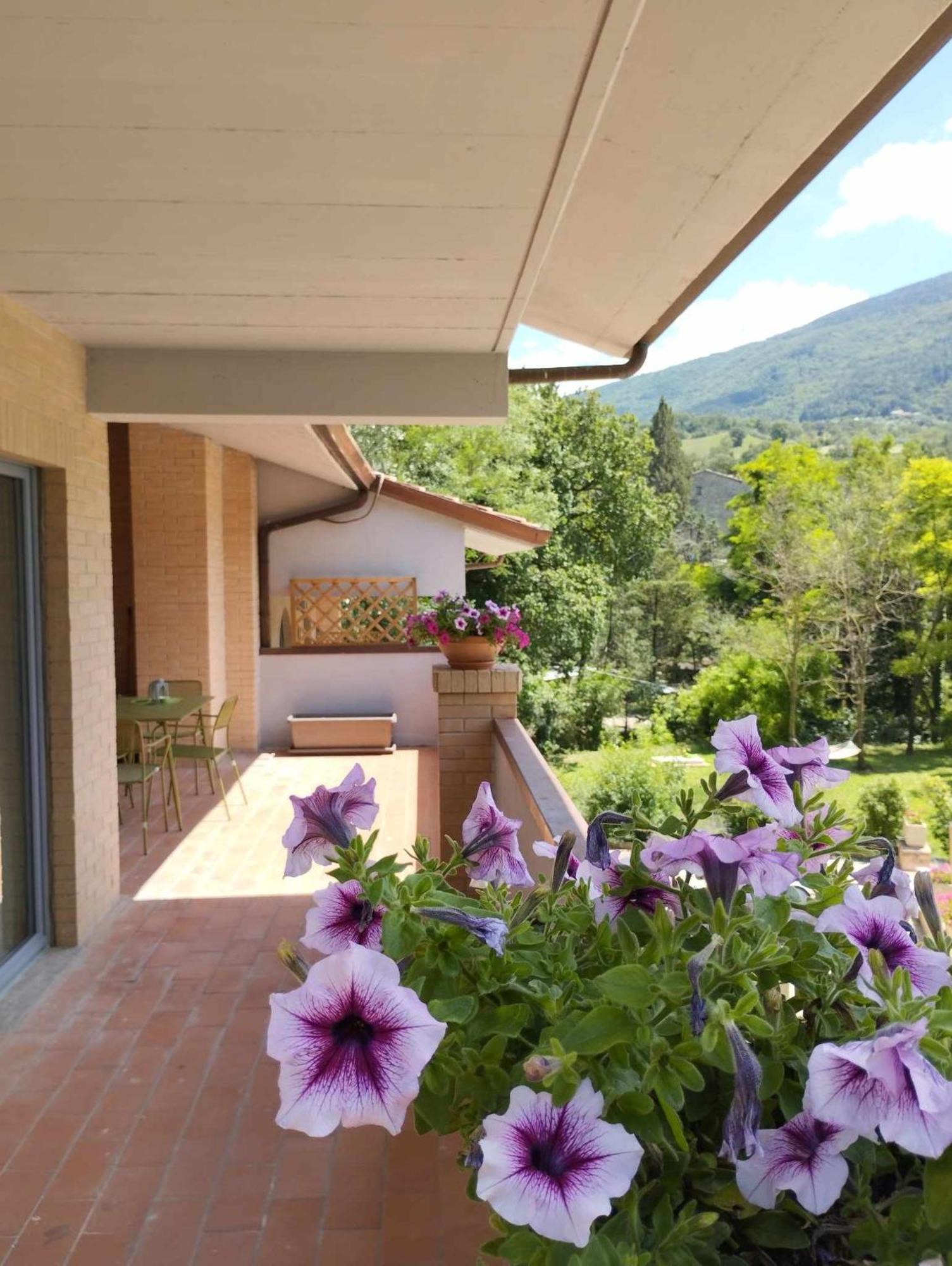 Pianpieve Nature & Relax Apartments Assisi Luaran gambar