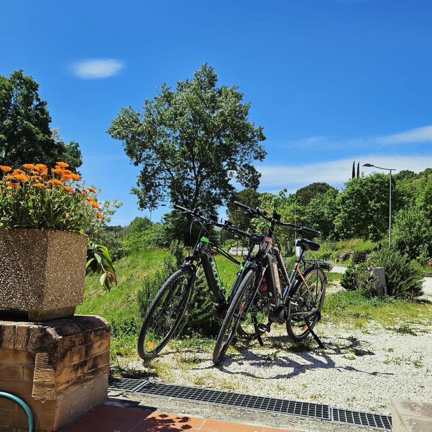 Pianpieve Nature & Relax Apartments Assisi Luaran gambar